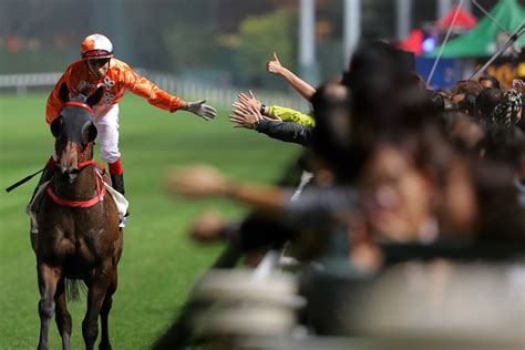 scmp racing tips|SCMP Best Bets: Expect a Gorgeous return from exciting speedster.